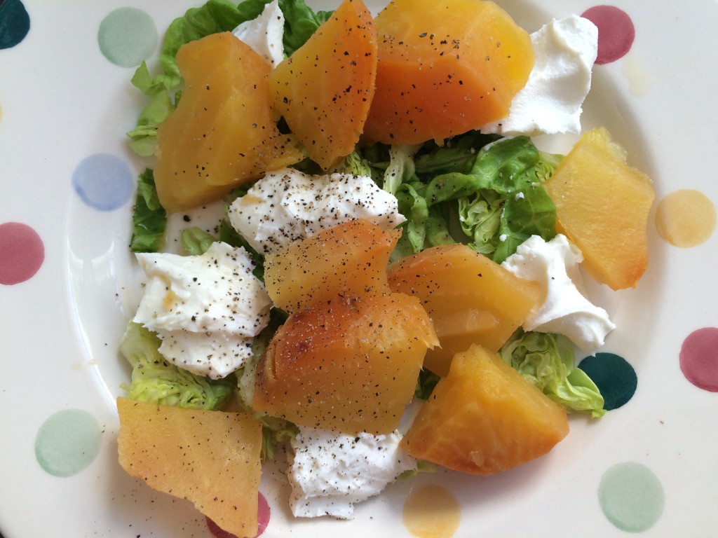 Cookbook challenge Nigel Slater beetroot and goats cheese, pork and