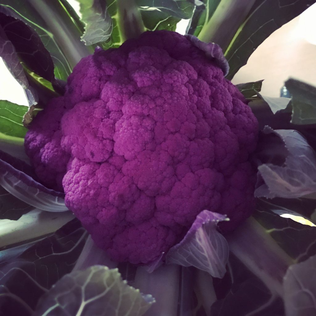 Cauliflower from Runcton farm shop
