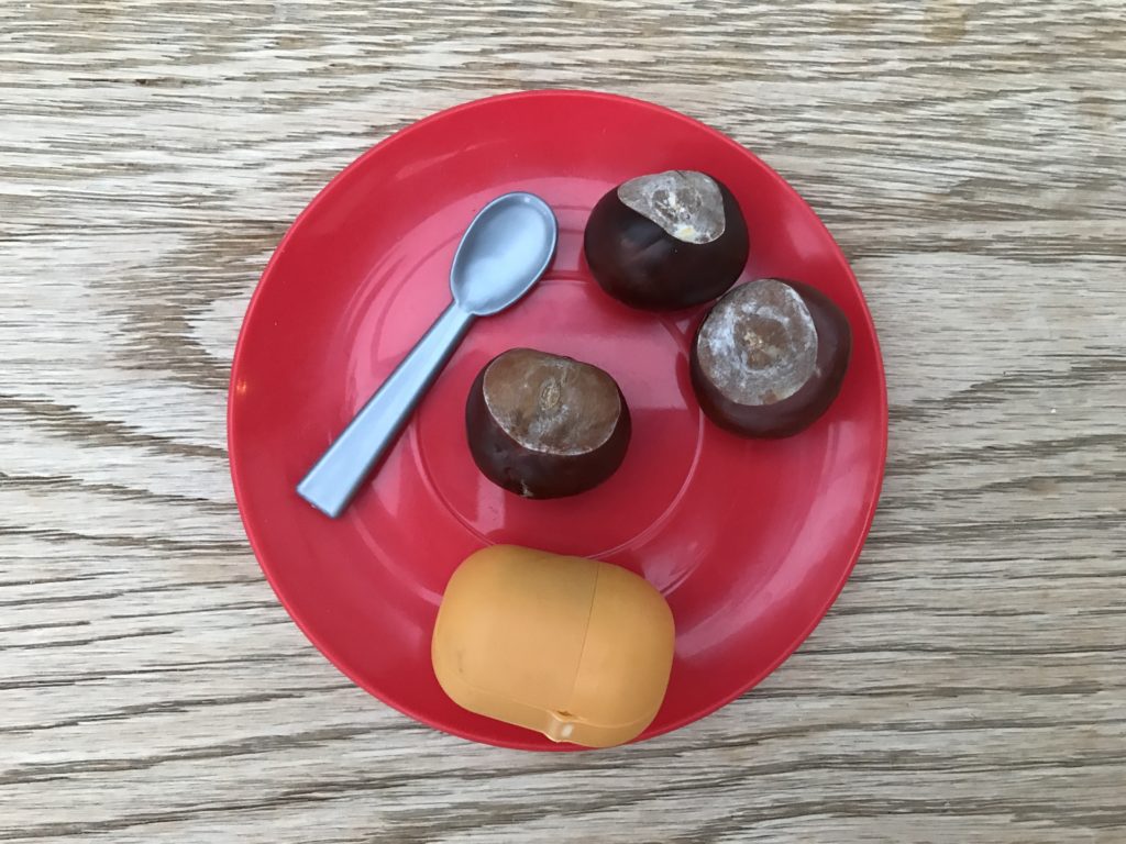 Conkers and kinder egg toy case