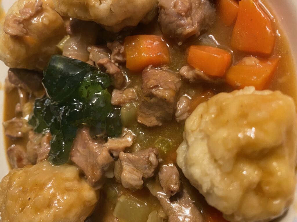 Close up lamb stew and dumplings
