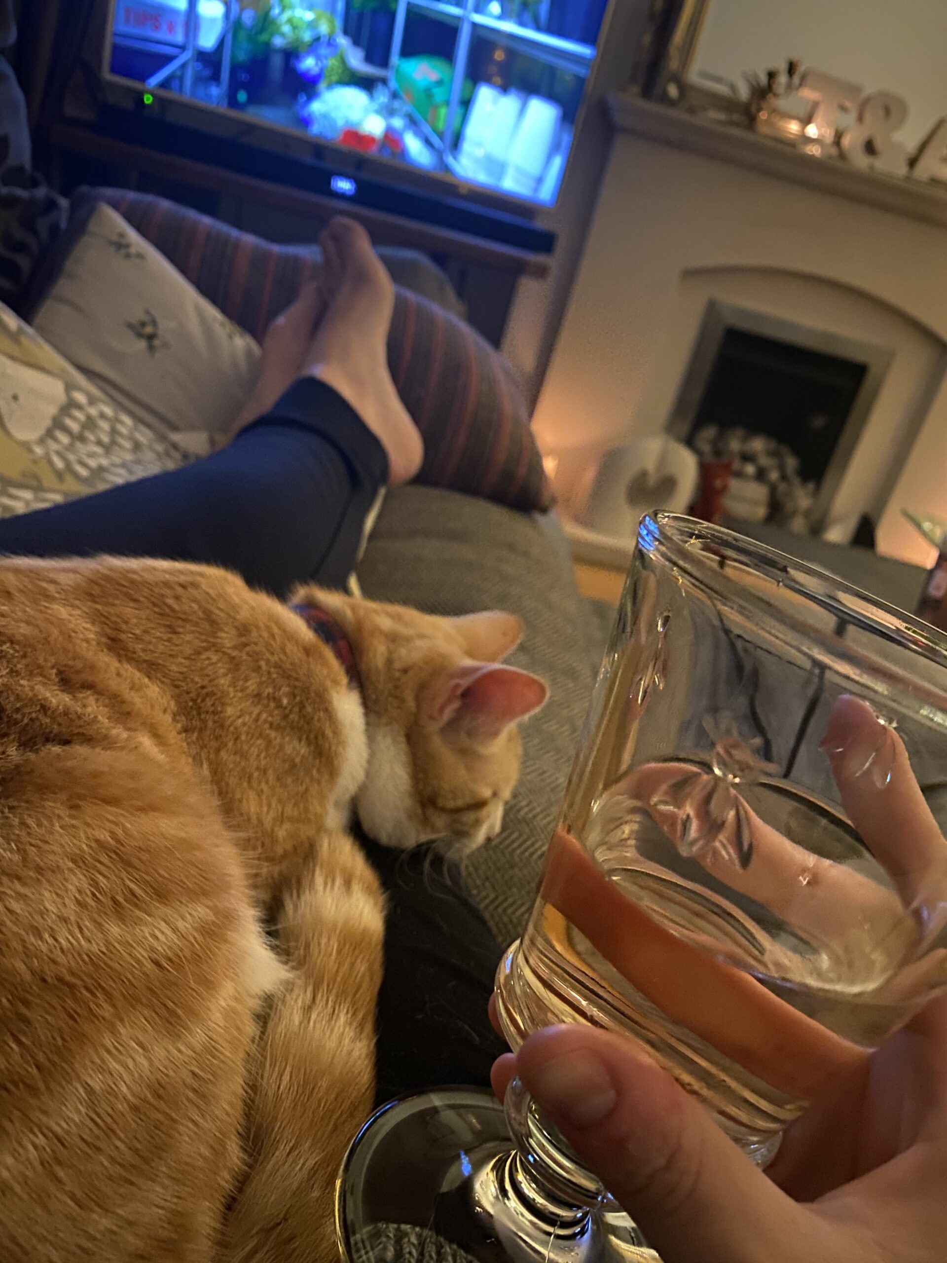 Cat and wine